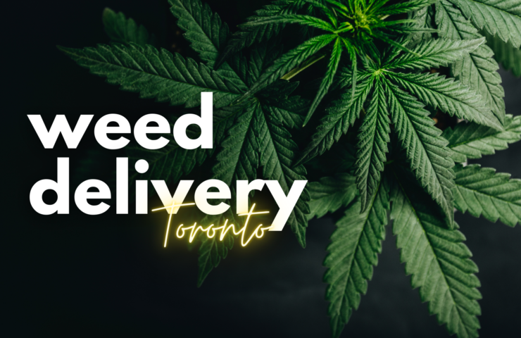weed delivery in toronto