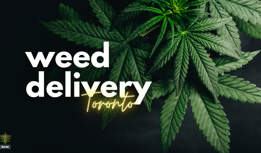 weed delivery in toronto